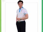 Mẫu áo polo đồng phục du lịch Nam Anh Travel 