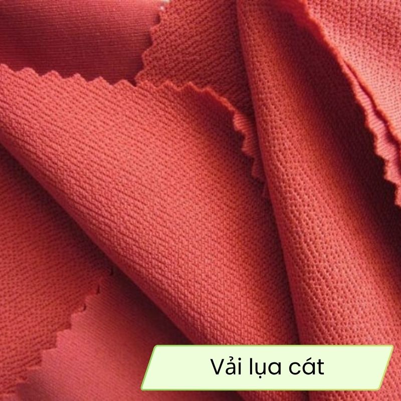 vai-lua-cat