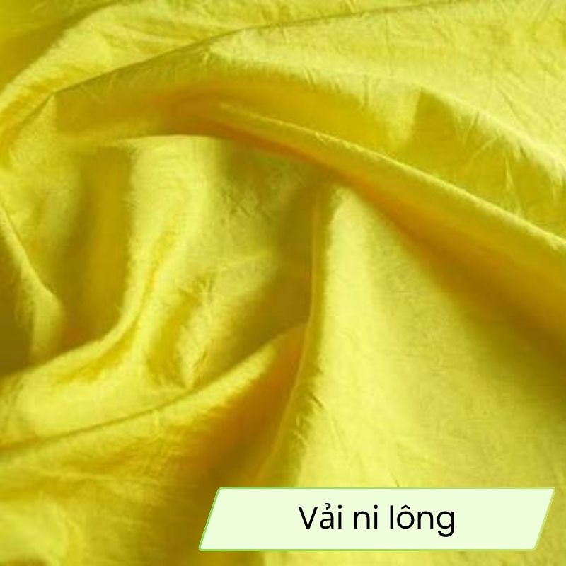 vai-ni-long