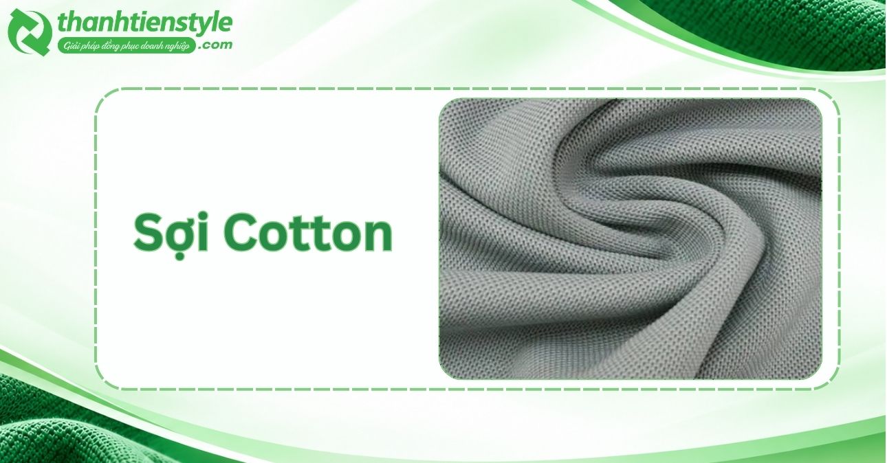 soi-cotton