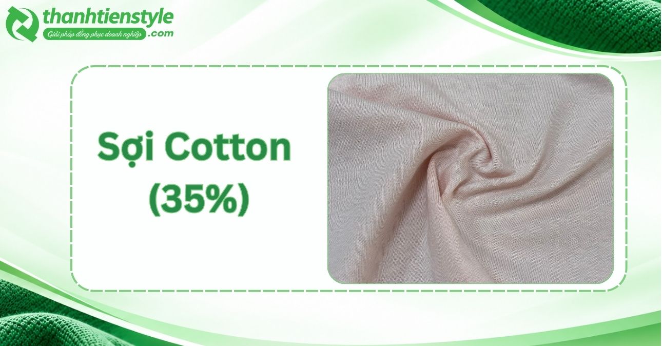 soi-cotton-35